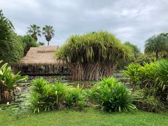 -中国科学院西双版纳热带植物园