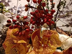 -北京植物园-展览温室