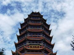 -铁山坪森林公园