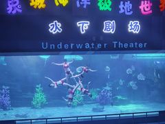 -泉城欧乐堡海洋极地世界