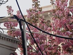 -万隆大胡同商业中心