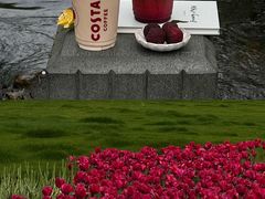 -COSTA COFFEE(西湖天地店)