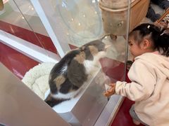 -天虹购物中心(深圳龙华店)