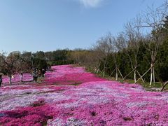 -棒棰岛宾馆景区