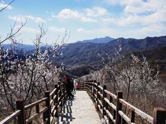 -妙峰山风景名胜区