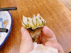 鸡爪螺（佛爪螺）-四季美蚝皇
