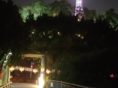 -金鸡山公园