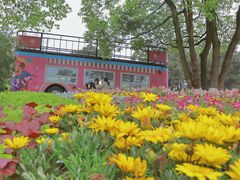 -铁山坪森林公园