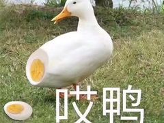 -楼外楼大刀肉传统火锅居(博学路店)