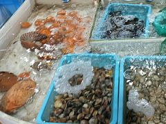 -罗源湾8号渔排