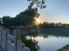 -大兴滨河森林公园