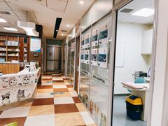 -奈斯宠物医院·核磁CT·异宠专科·内镜(中南店)