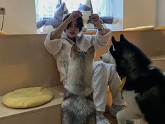 -Husky Go! 哈士奇体验馆·宠物咖啡厅狗咖