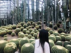 -南山植物园