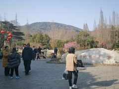 -习家池
