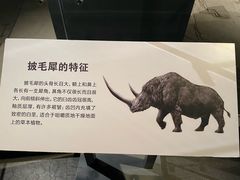 -大庆市博物馆