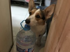 -维卡食舍(户部山店)