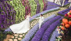 -都市丽人婚纱摄影