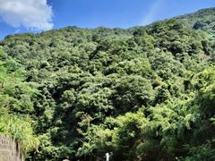 -宁波五龙潭景区