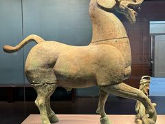 -广西壮族自治区博物馆