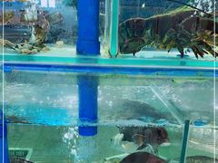 -富临港·蒸汽海鲜·手抓海鲜·炒菜(栈桥店)