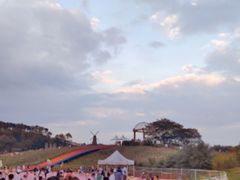-大塘金香草谷