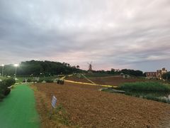 -大塘金香草谷
