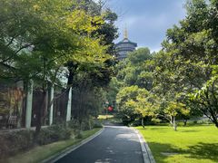 -浙江西子宾馆·瑶园咖啡厅