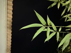 -北京益泉花园酒店
