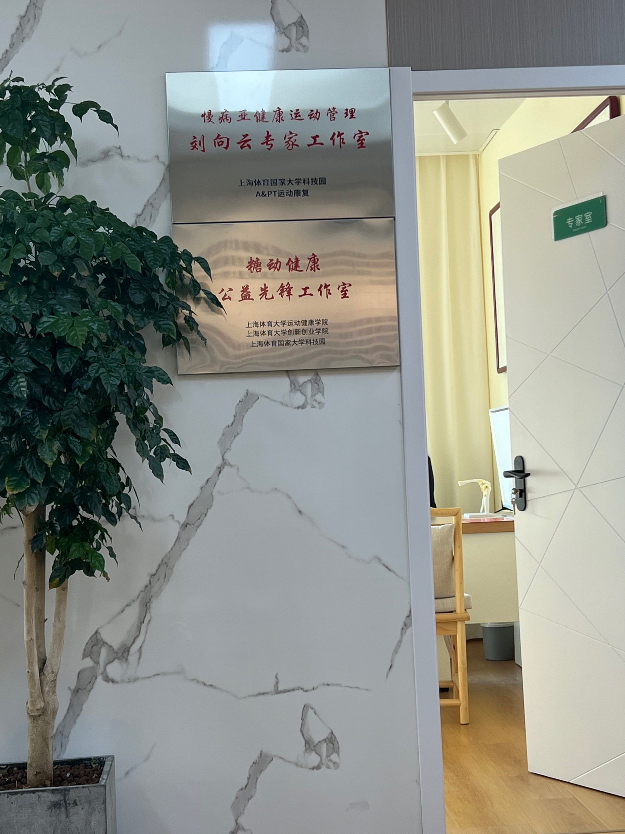 运动康复调理项目商业计划书