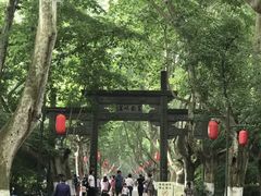 -杭州黄龙洞