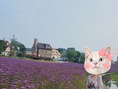 -花博汇(知音花月夜)