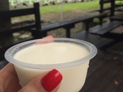-瑞穗牧场