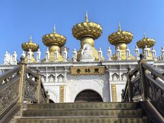 -上海东林寺(金山区)