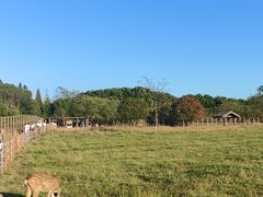 -良渚古城遗址公园