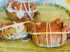 -蟹天蟹地农家菜·阳澄湖大闸蟹(浅水湾店)