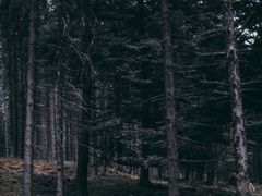 -硗碛藏寨·神木垒景区