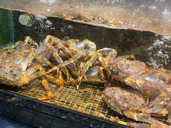 -海鲜e族(马王堆店)