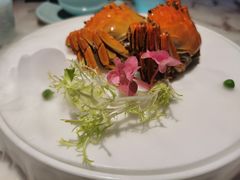 花雕熟醉蟹-淮扬韵(凤八市政府店)