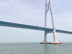-招商蛇口邮轮母港(观光客运)