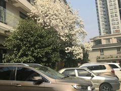 -君来梁溪饭店-餐厅