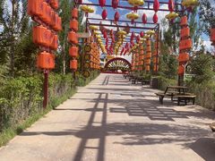 -中国马镇舞马世界主题乐园