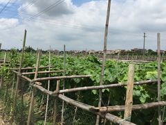 -低涌(地铁站)