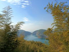 -长沙黑麋峰国家森林公园