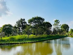 -宁波杭州湾国家湿地公园
