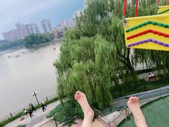 -朝阳公园游乐园