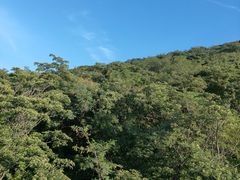-富斯特索道
