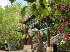 -哈密回王府景区