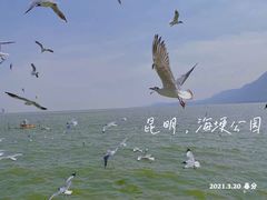 -滇池海埂公园