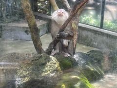-海南热带野生动植物园